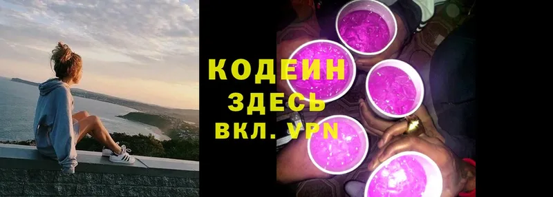 мега tor  Новозыбков  Кодеин Purple Drank  купить наркоту 